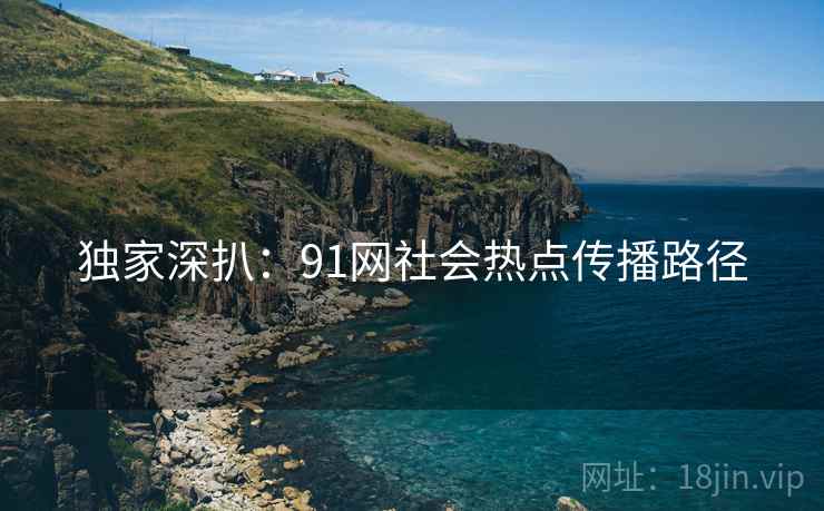 独家深扒：91网社会热点传播路径