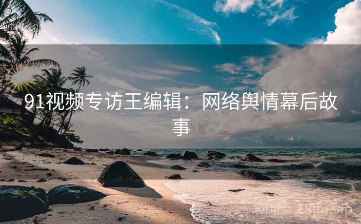 91视频专访王编辑：网络舆情幕后故事